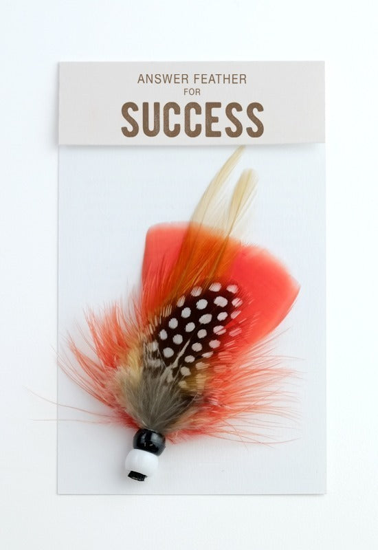 ANSWER FEATHER - SUCCESS