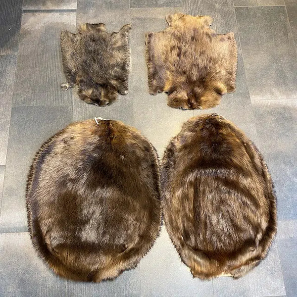 LARGE BEAVER FUR