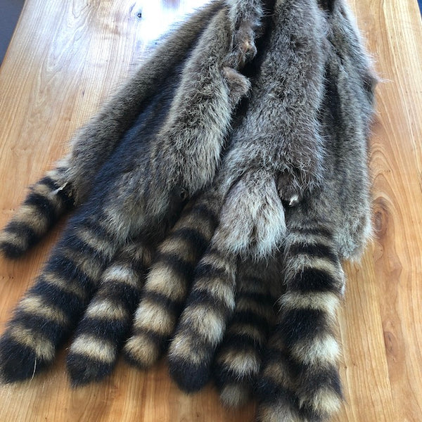 RACCOON FUR